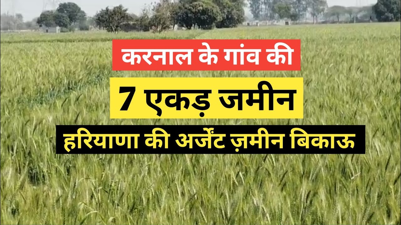 7 एकड़ जमीन बिकाऊ हरियाणा करनाल की 7 acres land for sale in Haryana Karnal #karnal #haryana #land