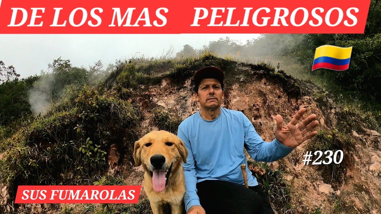 RUTA 🚴‍♂️DE SALENTO A TOCHE, CARBONERA palmas de cera. #vueltaalmundoenmoto