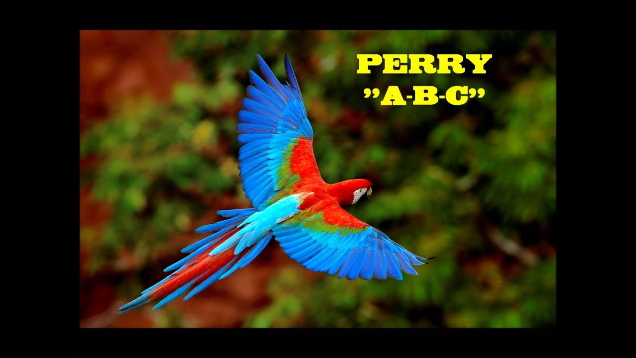 PERRY 
