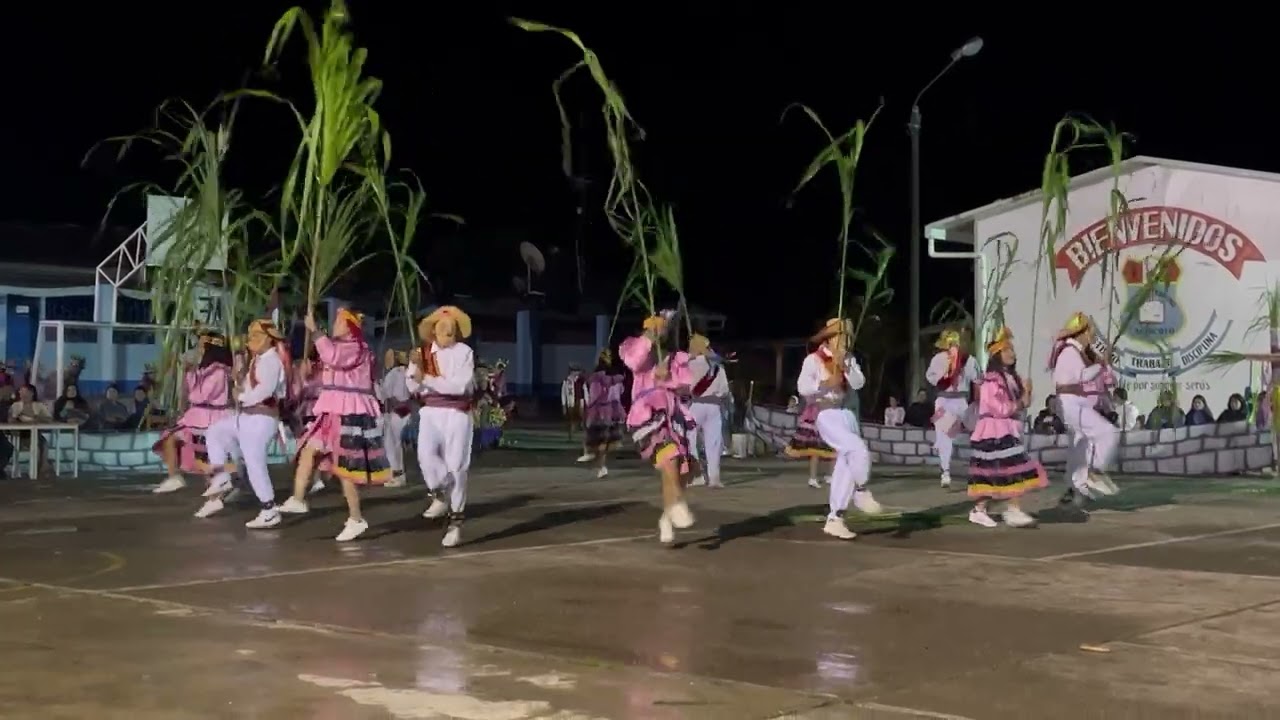 Cañeros de San Jacinto - Taso grande de Cachicoto - Cachicoto - 2022