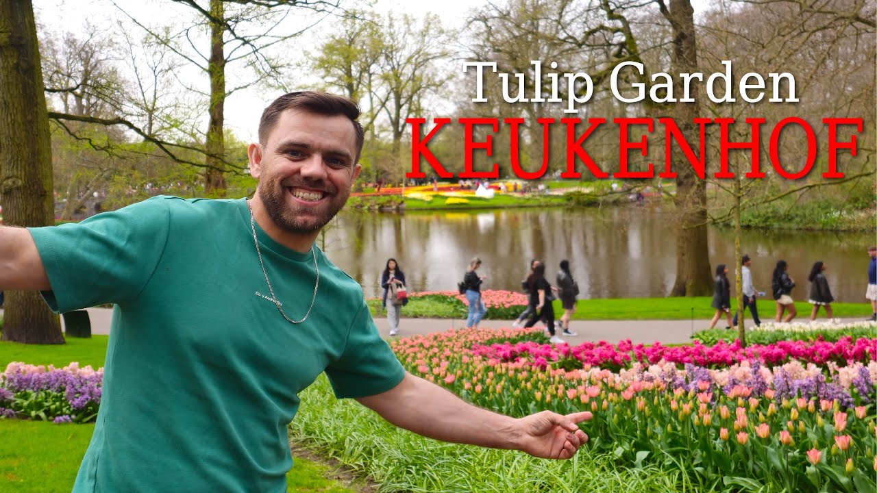 Tulip Flower Garden in Keukenhof Netherlands