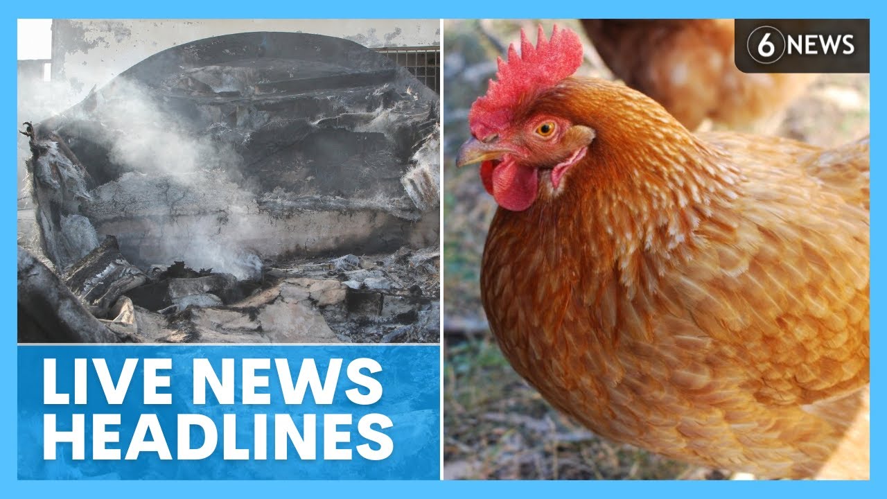 LIVE: Israel continues Rafah offensive; concerns about bird flu on Victorian farms | 6 News