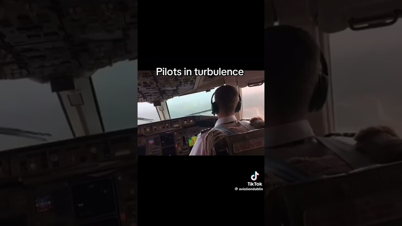 Passengers in turbulence versus pilots in turbulence  #airplane #aviation #crosswind #turbulance