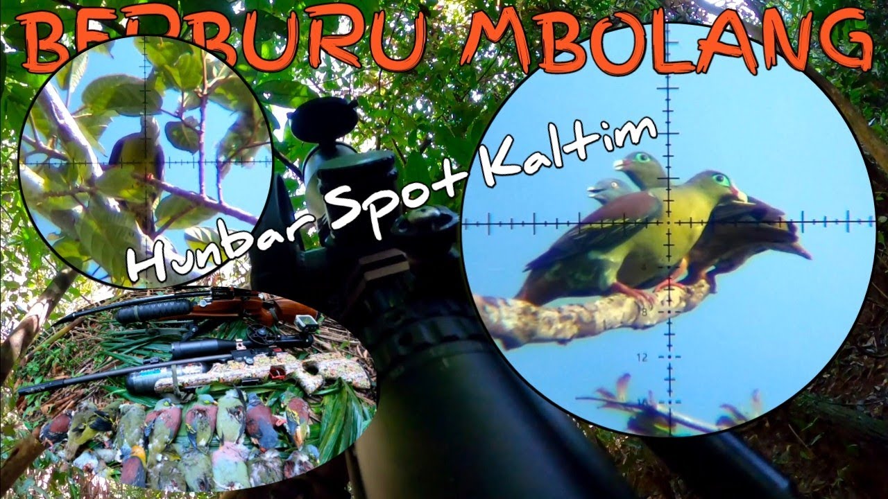BERBURU PUNAI ‼️ SPOT KALTIM ‼️ SEMAR NEO Z ‼️ SRG SLUG ‼️ GOPRO ‼️ LW POLYGON BR 