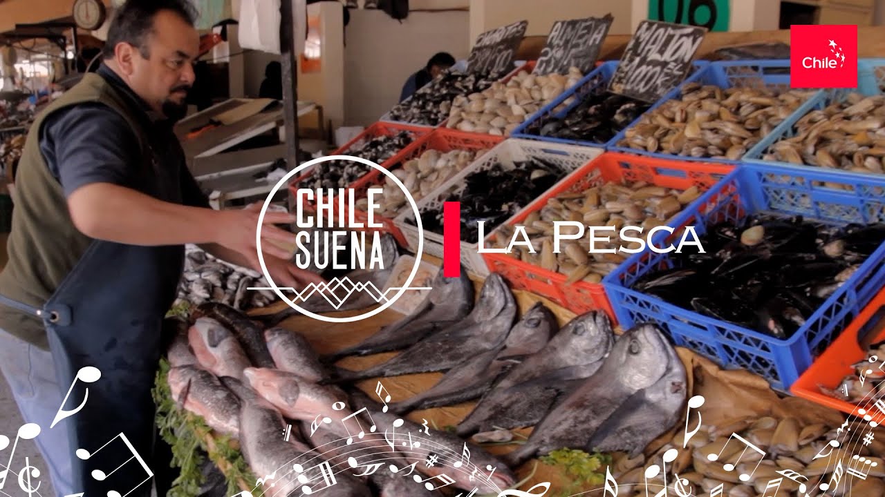 Звуки Чили: Звуки рыбалки и жизни на побережье 🇨🇱🎶 | Marca Chile