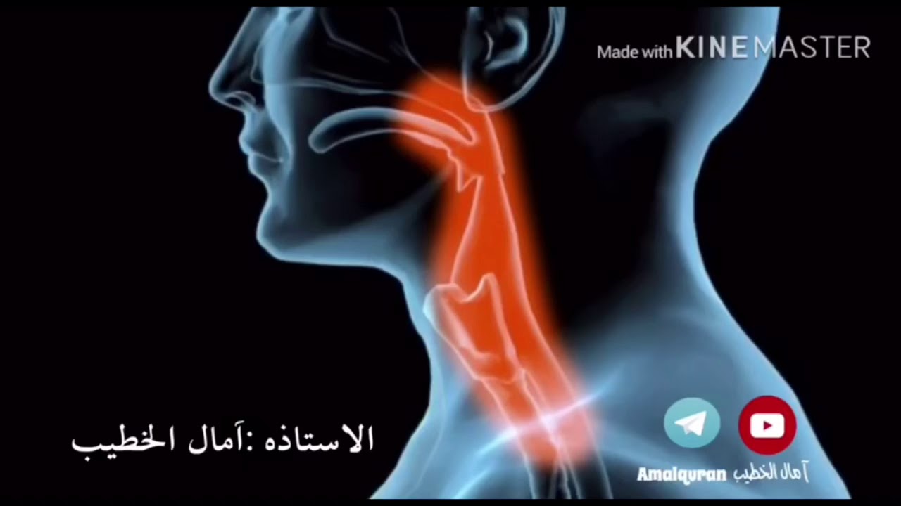 مخرج الجوف(الألف المدية)