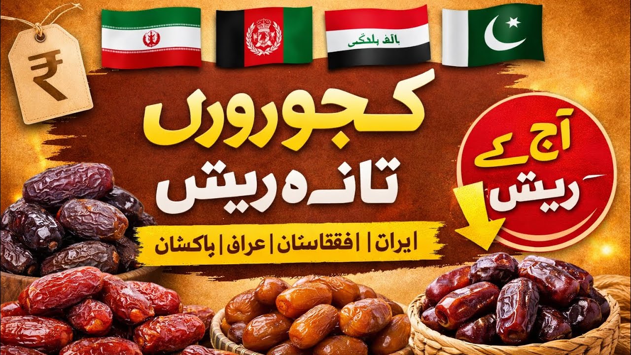👉 Updated Date Prices in Pakistan | Iran, Iraq & Afghanistan Dates Rates Today