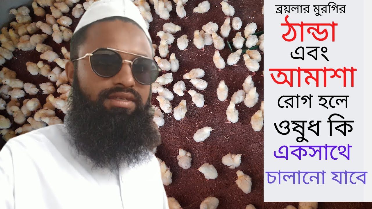 ব্রয়লার মুরগির ঠান্ডা এবং আমাশা রোগ হলে ওষুধ কি একসাথে চালানো যাবে #Broylar chicks