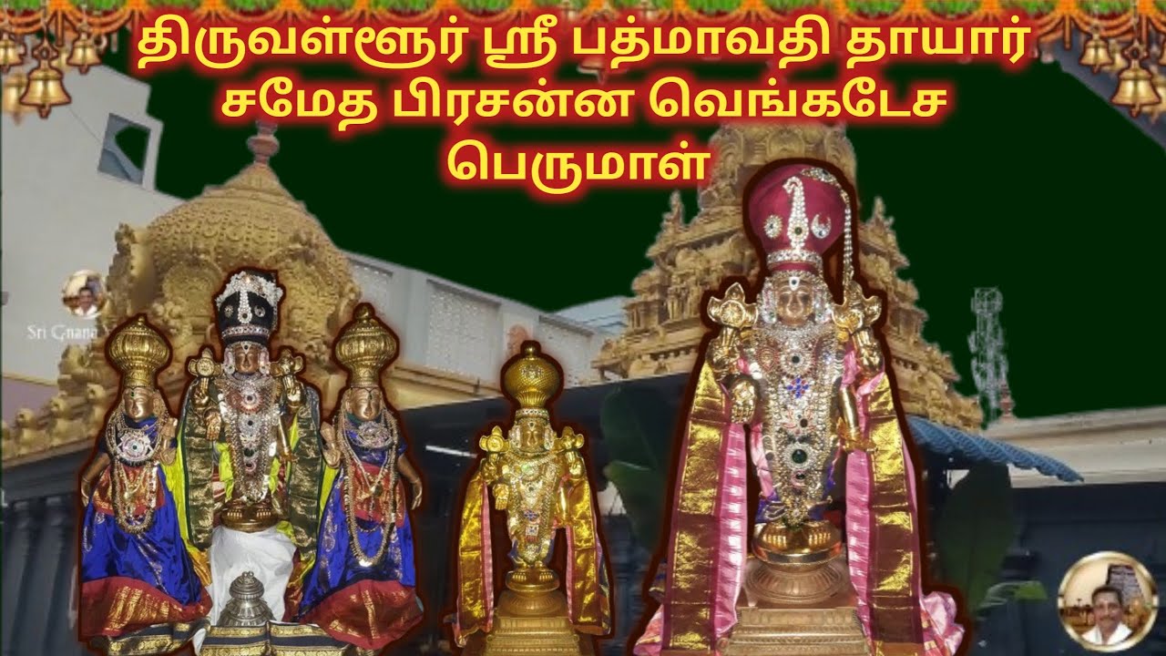 திருப்பதி போலவே நின்ற கோலத்தில் அருளும் திருவள்ளூர் பிரசன்ன வெங்கடேசபெருமாள் பத்மாவதி தாயார் தரிசனம்