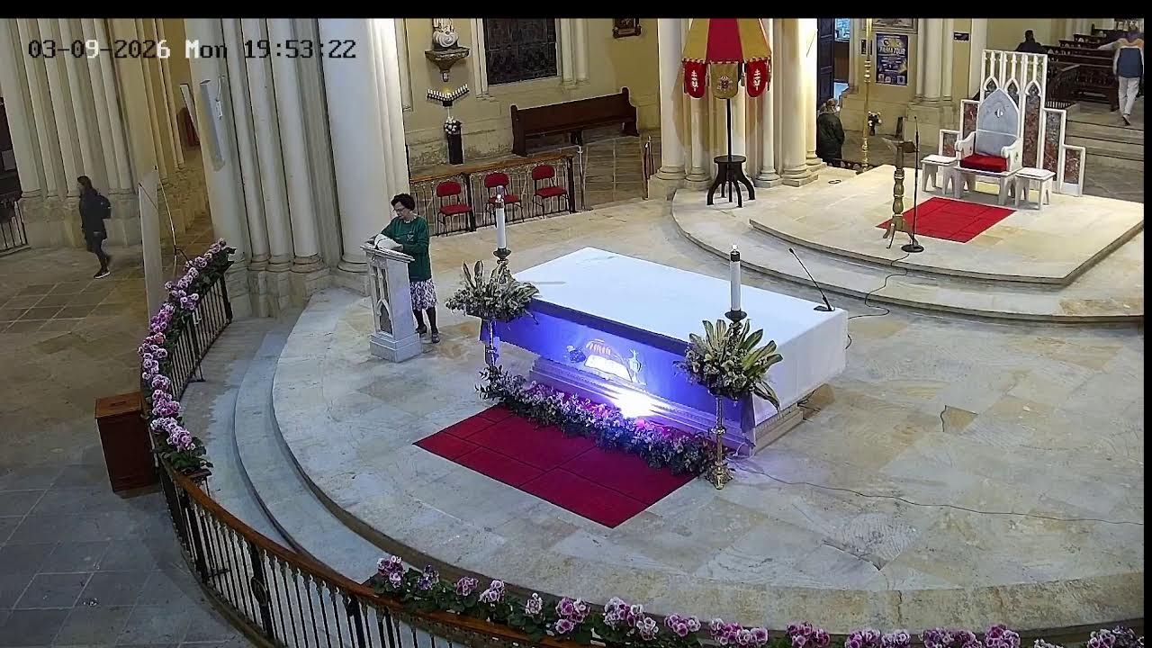 Transmisión Eucaristía Basílica de Lourdes   2026