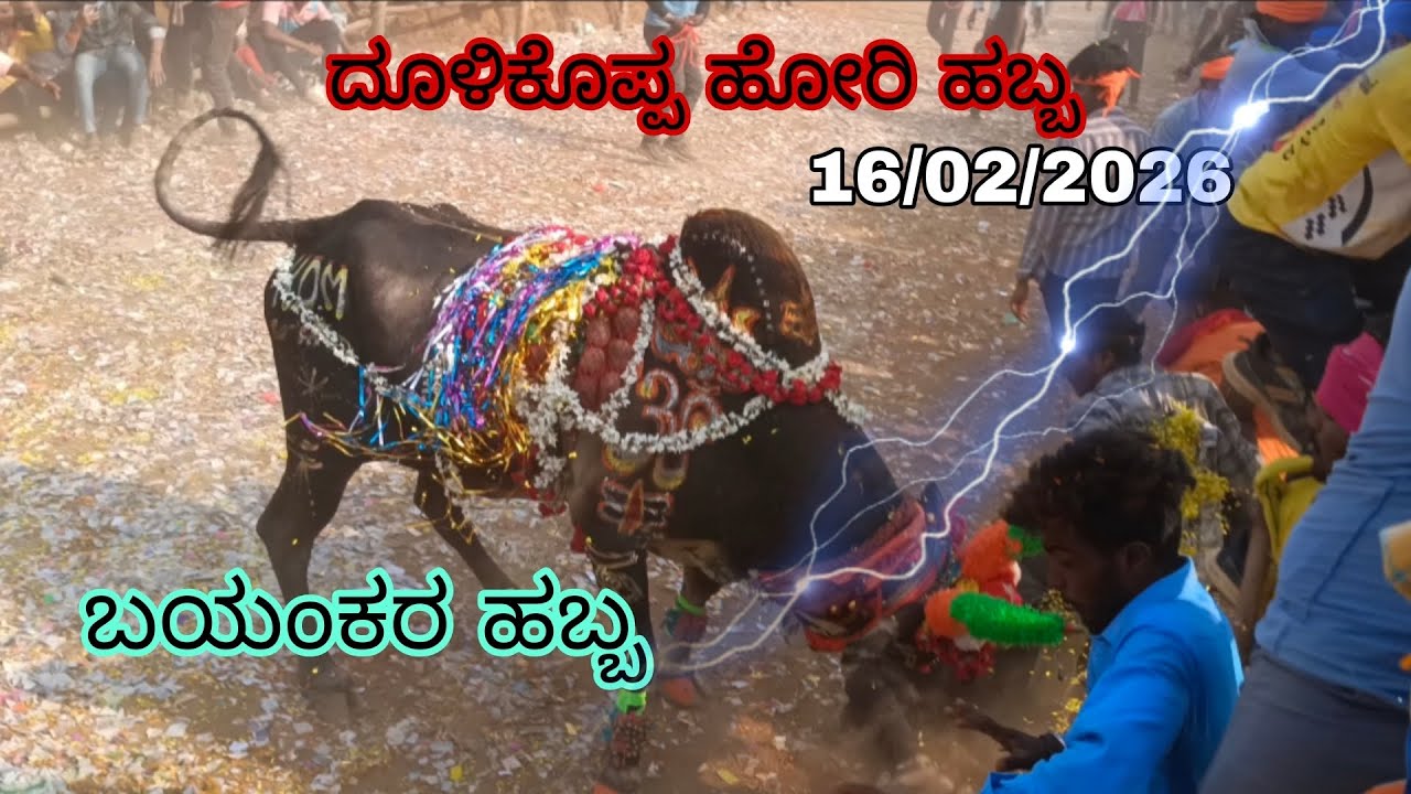ಧೂಳಿಕೊಪ್ಪ ಹೋರಿ ಹಬ್ಬ 16/02/2026/  Dullikoppa hori habba. | Part -1  subscribe for more ♥️