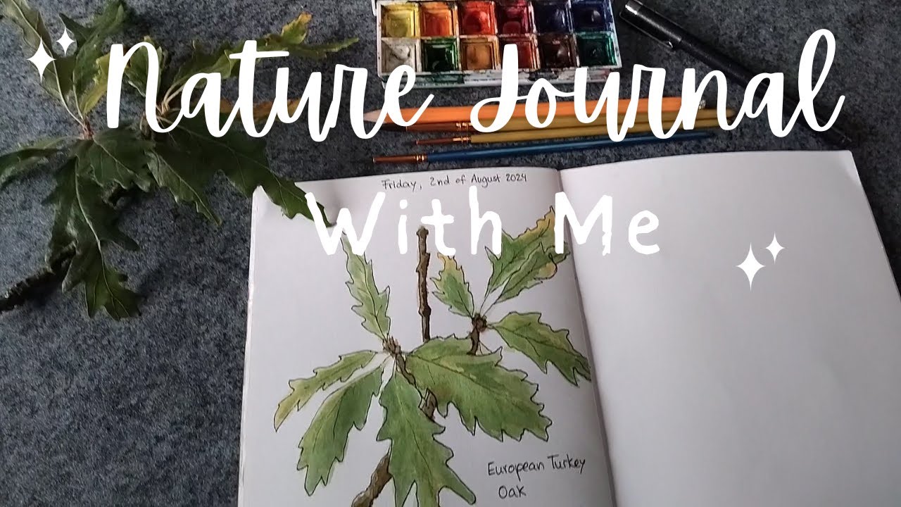 🌿 Nature Study for Beginners │Nature Journal With Me 🌱