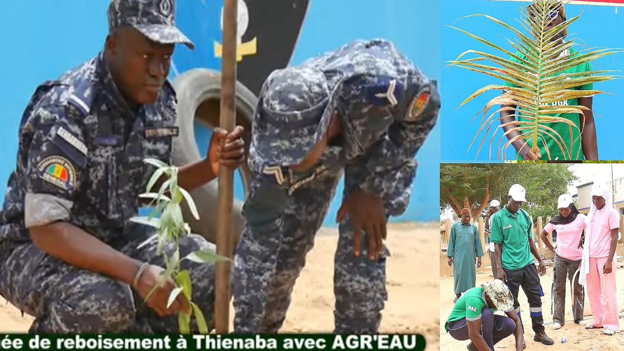 Journée de reboisement à Thienaba avec AGR'EAU