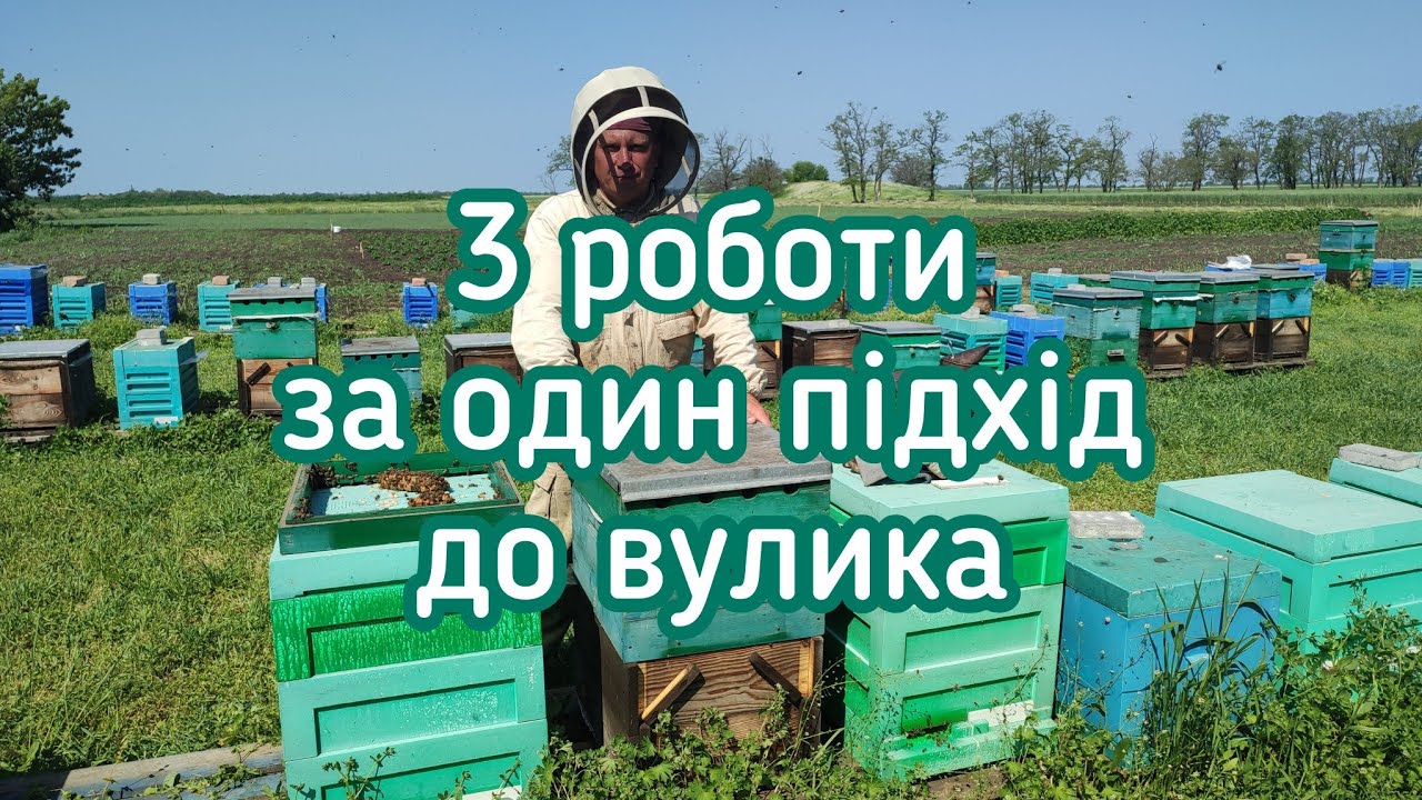✅3 в 1: Метод Демарі, формування відводків, мічення матки