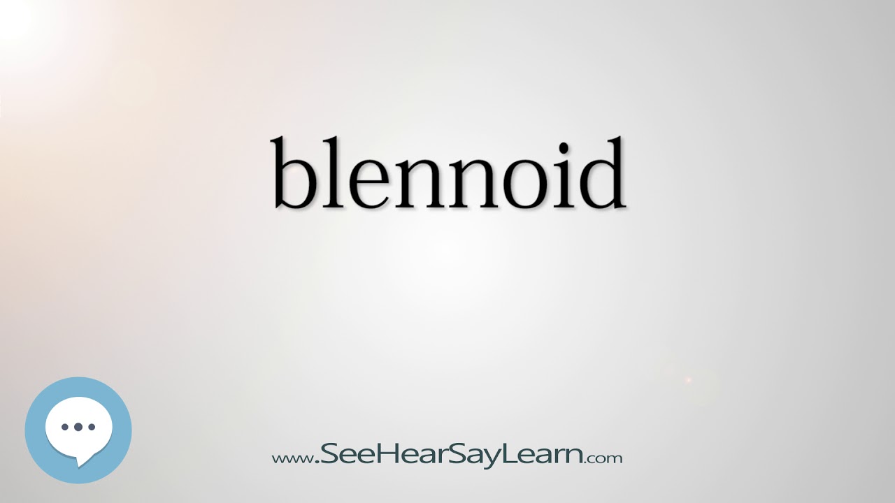 blennoid - Smart & Obscure English Words Defined 🗣🔊