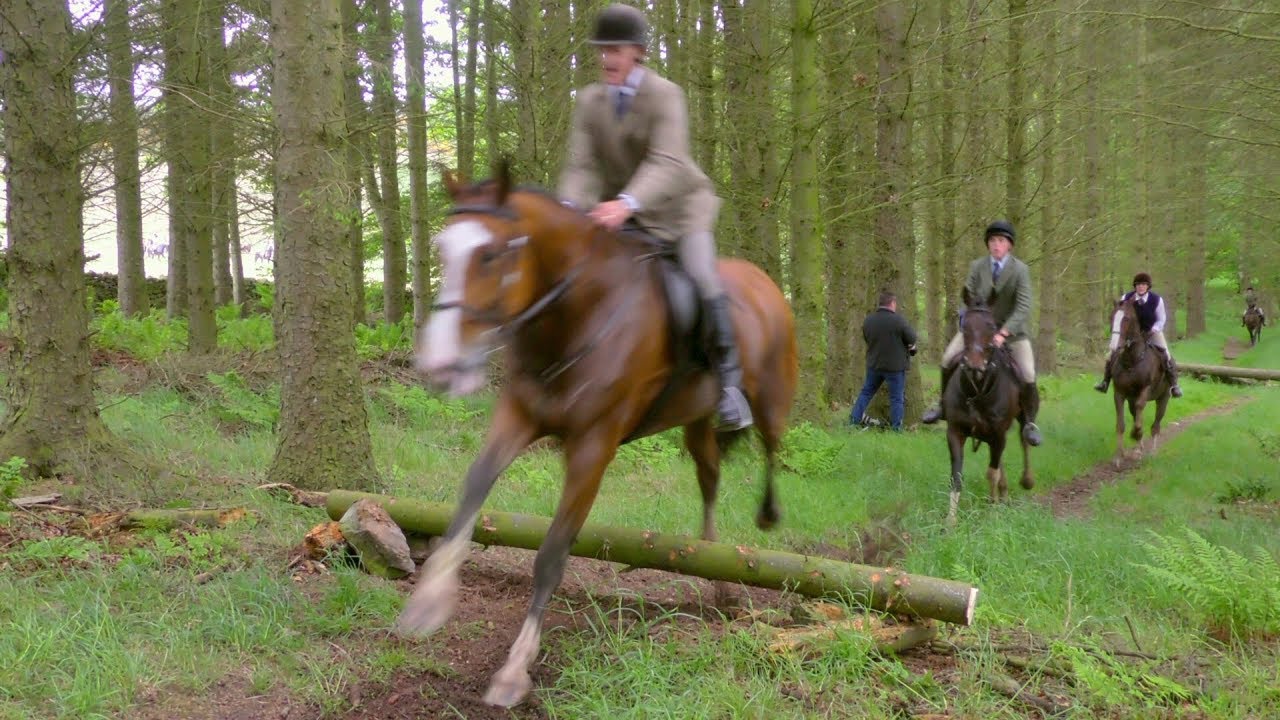 Denholm Rideout | Hawick Common Riding 2019