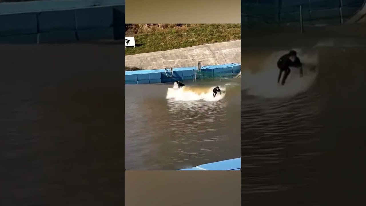 Тренировки по серфингу на искусственных волнах 🌊