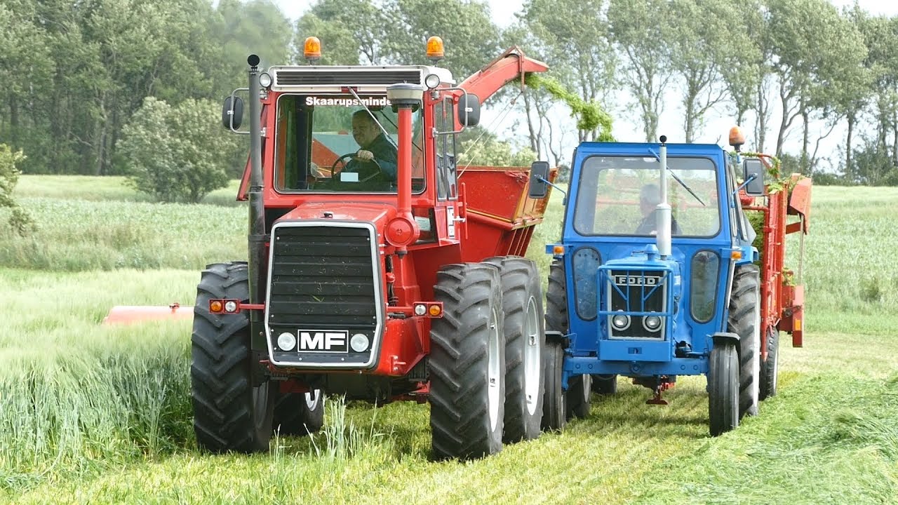 Massey Ferguson 1200 Working Hard in The Field Chopping Grass w/ Taarup 502 Forage Harvester
