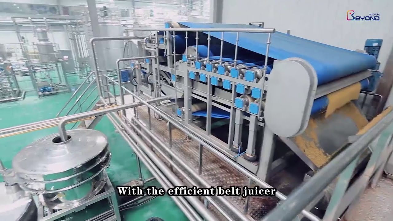 Prickly Pear juice processing line turnkey project