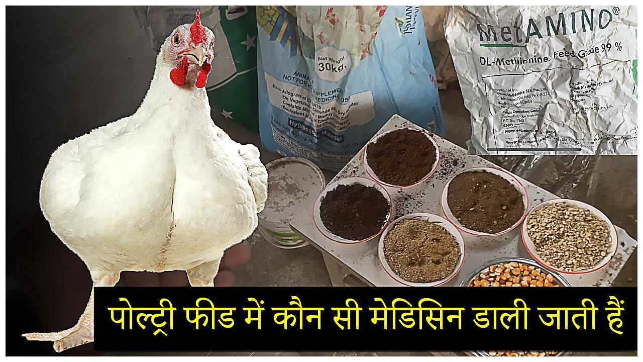 पोल्ट्री फीड में कौन सी मेडिसिन डाली जाती हैं | Broiler Poultry Feed Formulation