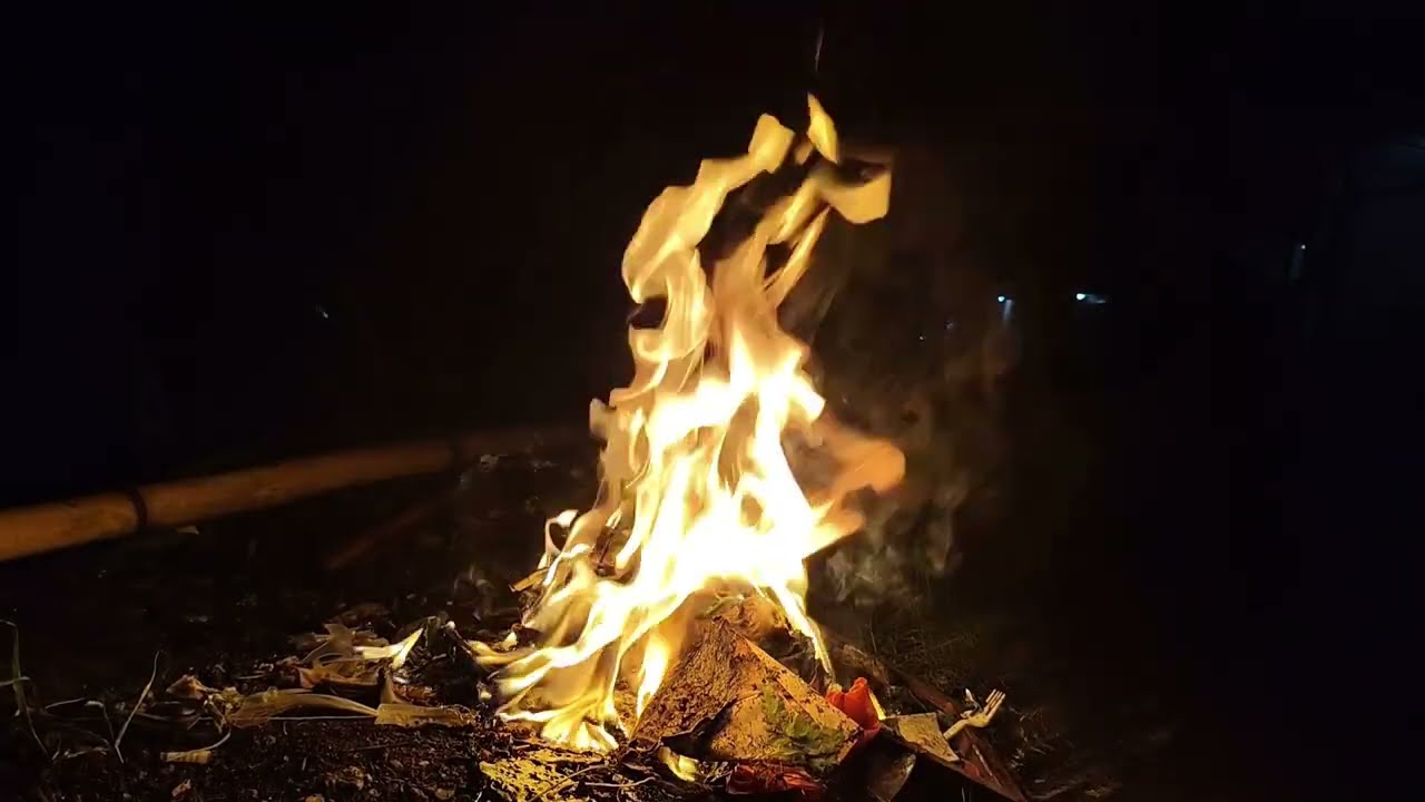 Wasted Whispers: A Non-Organic Fireplace Experience