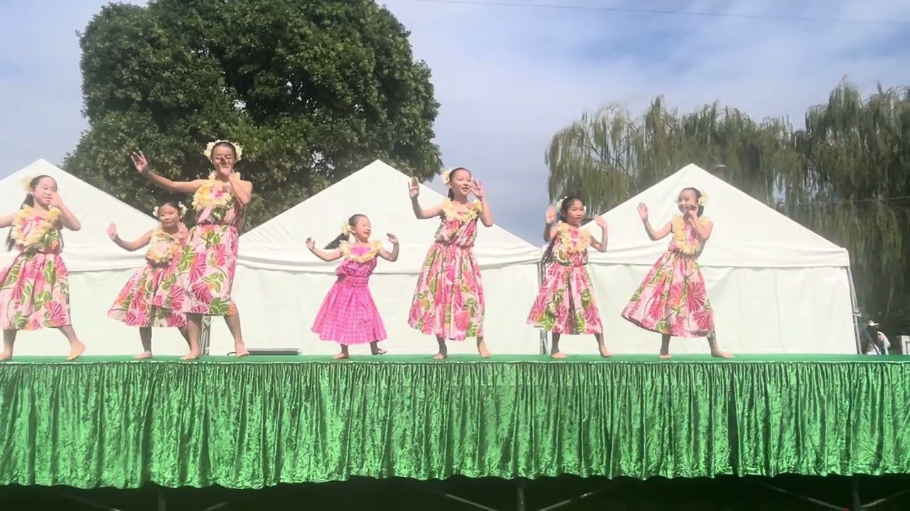 20251012 Sophisticated fla（江戸川ホノルルフェスティバル@篠崎公園）🌺