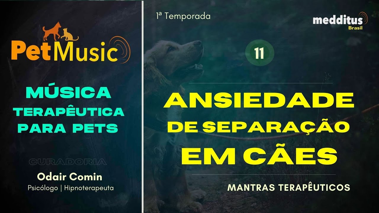 Música para Cachorros com Ansiedade de Separação | Mantra Terapêutico para Pets