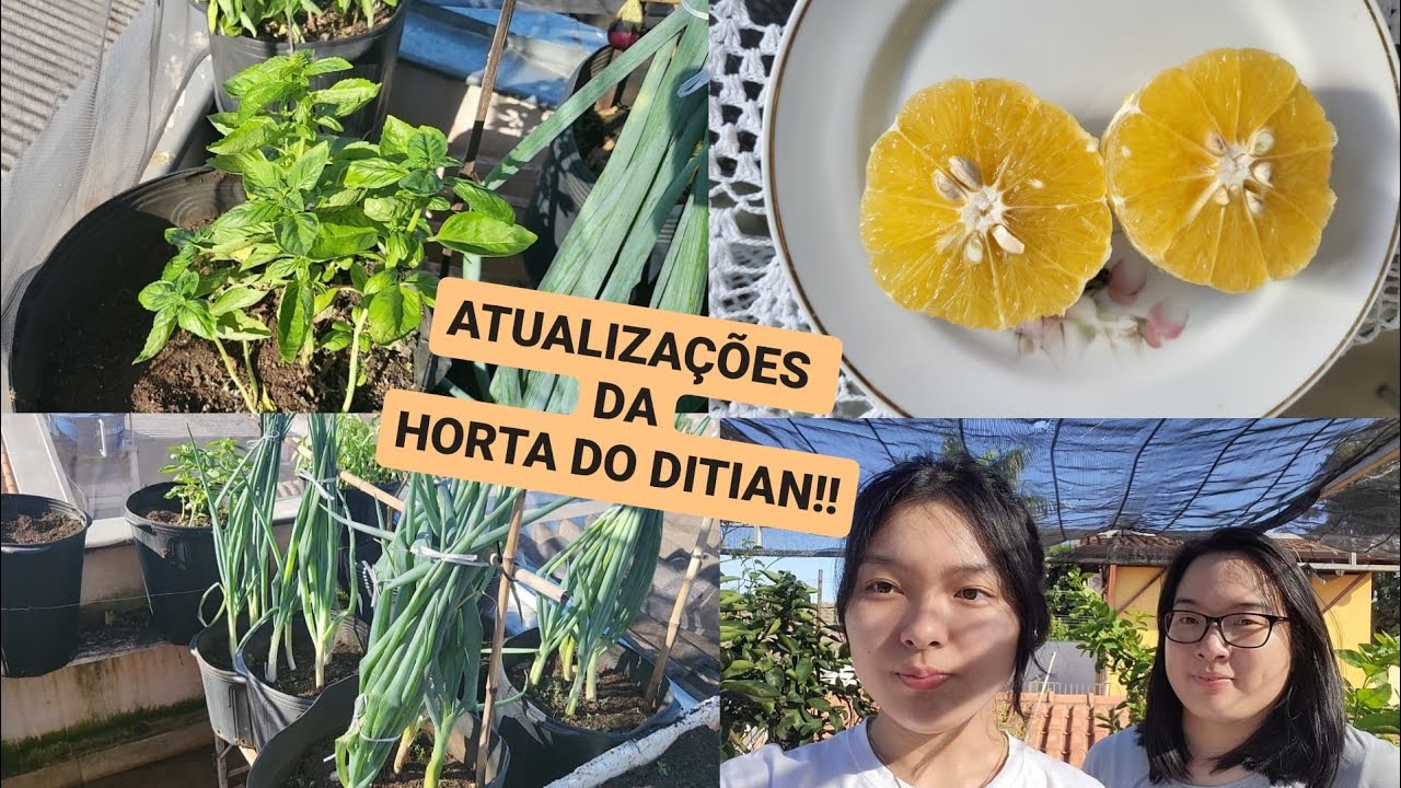 VOLTAMOS! Tour pela horta + área externa!