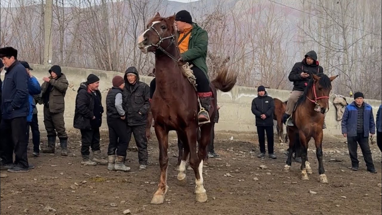 БҮГҮНКҮ ЖЫЛКЫ БАЗАР 11 февраль  2026  Жыл