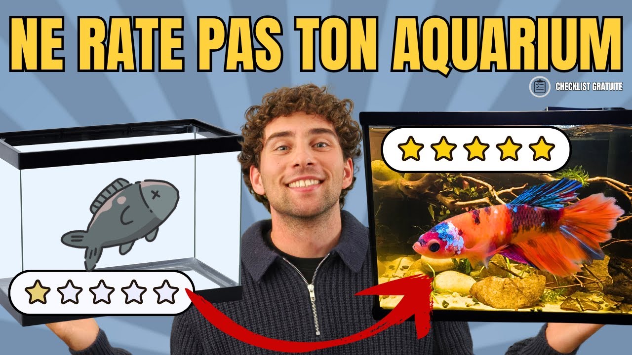 TUTO : Comment installer un aquarium de A &agrave; Z | Guide complet + checklist gratuite