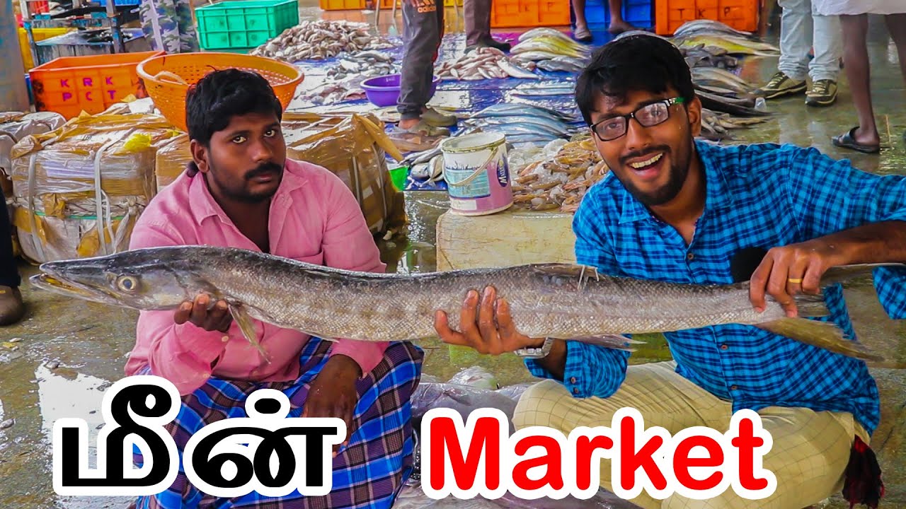 மிகப்பெரிய மீன்கள் வரும் சந்தை | Coimbatore Ukkadam Wholesale fish market