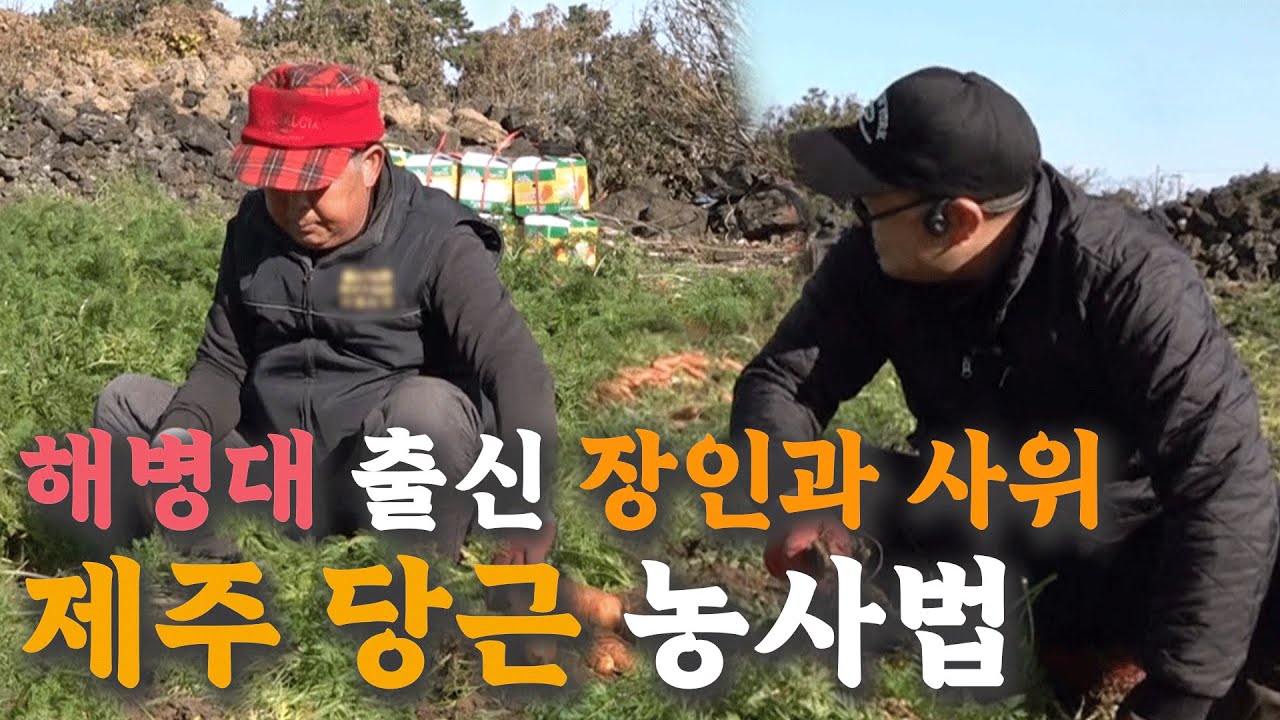 [나는 농부다 387회 1부] 무적해병 장인 &사위! 당근 상륙 작전