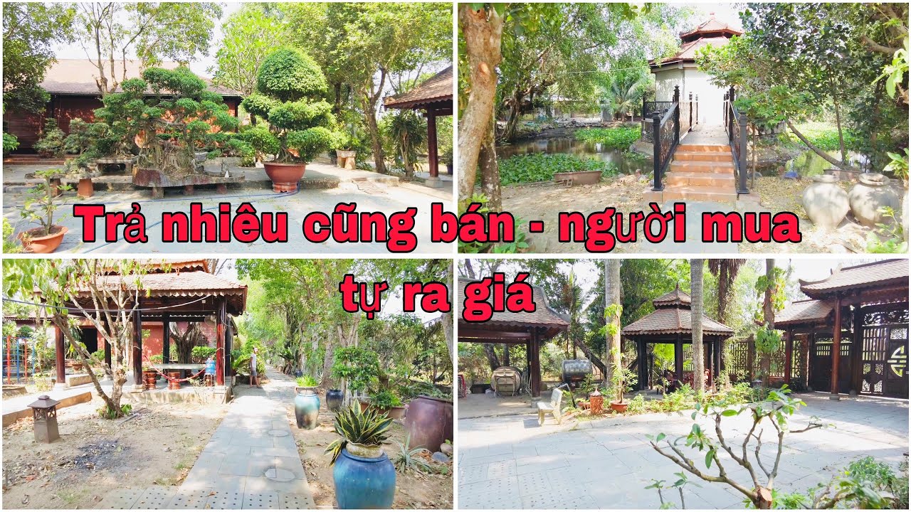 bán biệt thự vườn 6200 m2 view sông - nhà thờ gỗ - ao cá - vườn cây ăn trái -  trung an - củ chi