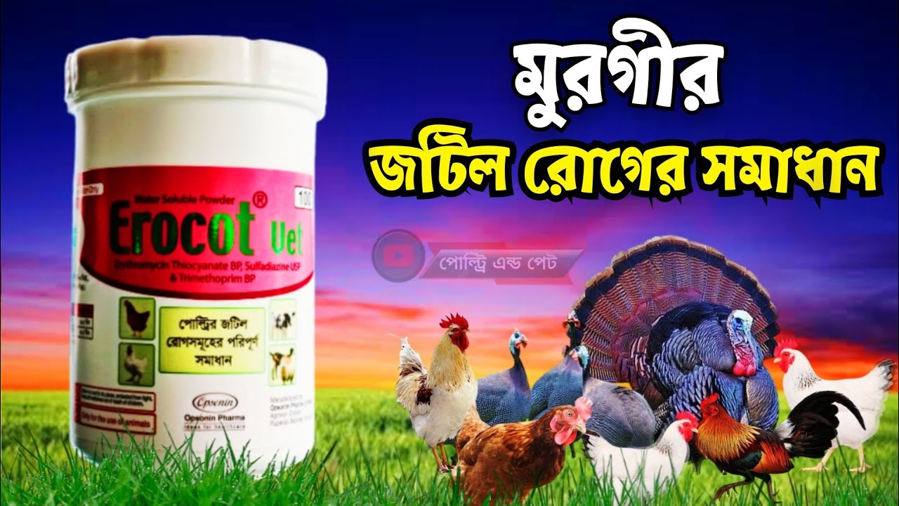 ইরোকট ভেট কি কাজ করে | কেনো খাওয়াবেন জেনে নিন | Erocot Vet