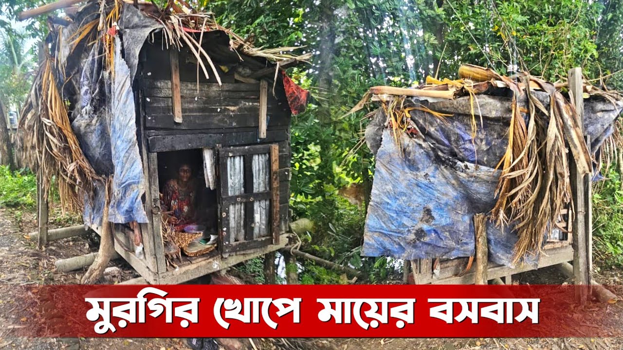 মুরগির খোপে মায়ের বসবাস, ১০ বছরে মধ্যে একদিনও সে মাংস খায়নি। 
