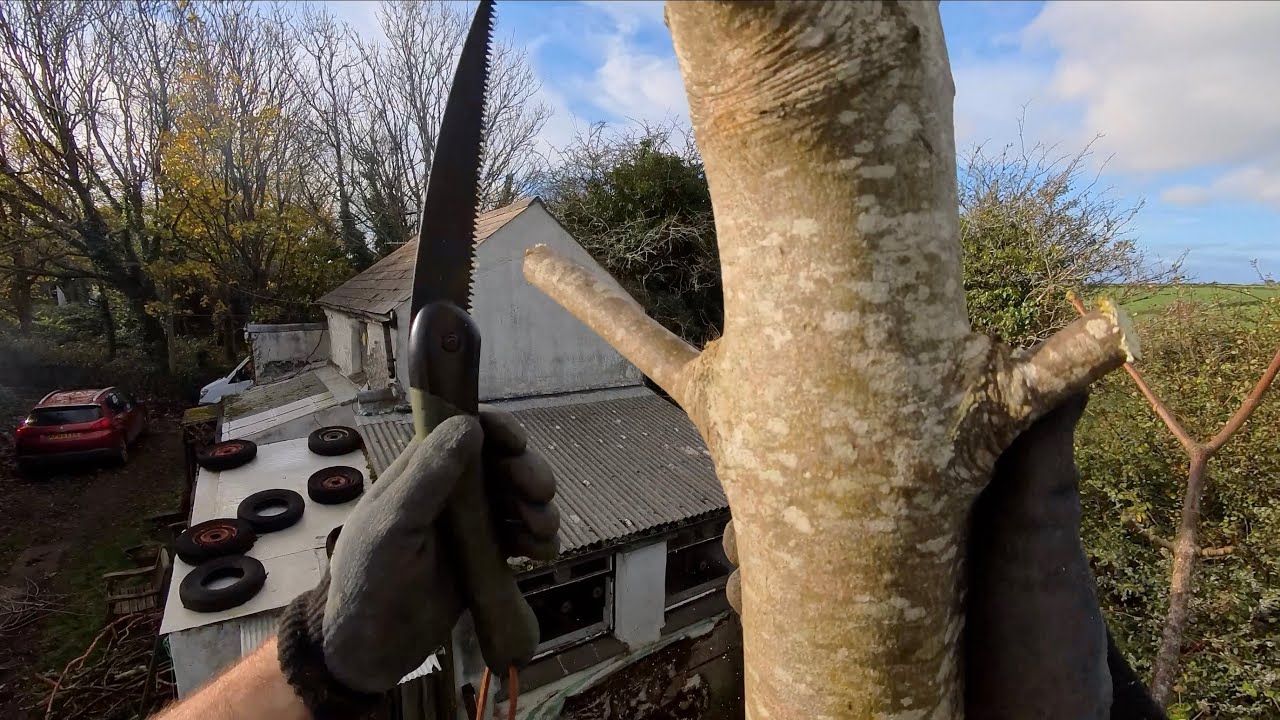 My Little Project - Episode 6: Tree Surgery & Tractor Surgery