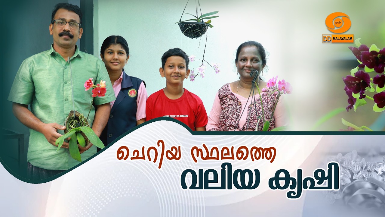 ചെറിയ സ്ഥലത്തെ വലിയ കൃഷി || DD MALAYALAM || KRISHIDARSHAN || #trendingnow #farming