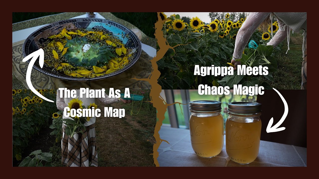 PLANETARY FLOWER MAGICK: Essences & A Solar Ritual For The Harvest Season