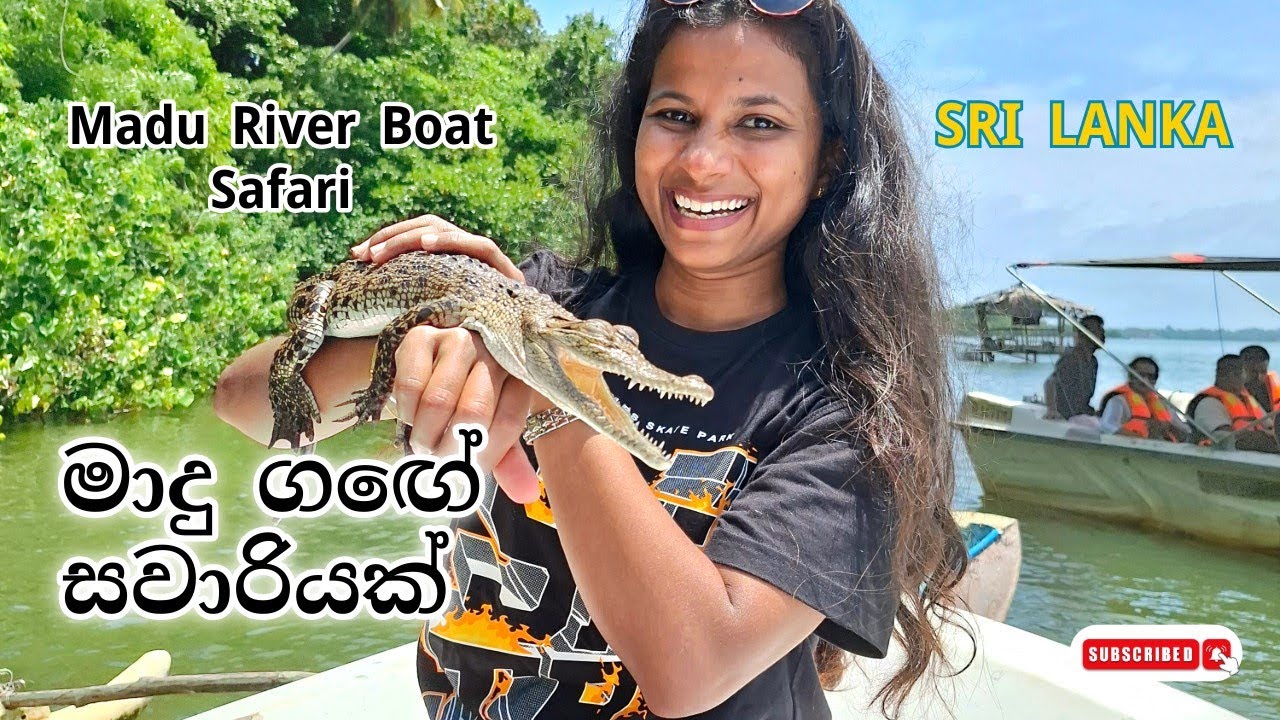 මාදු ගඟේ සවාරියක් 🇱🇰 🐊 | Madu River Boat Safari - Sri Lanka 🇱🇰 | Vacation Vlog 01