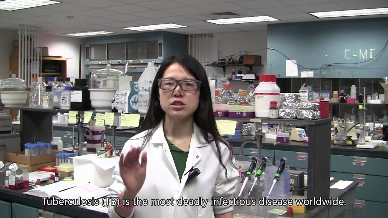 Research: Chemistry