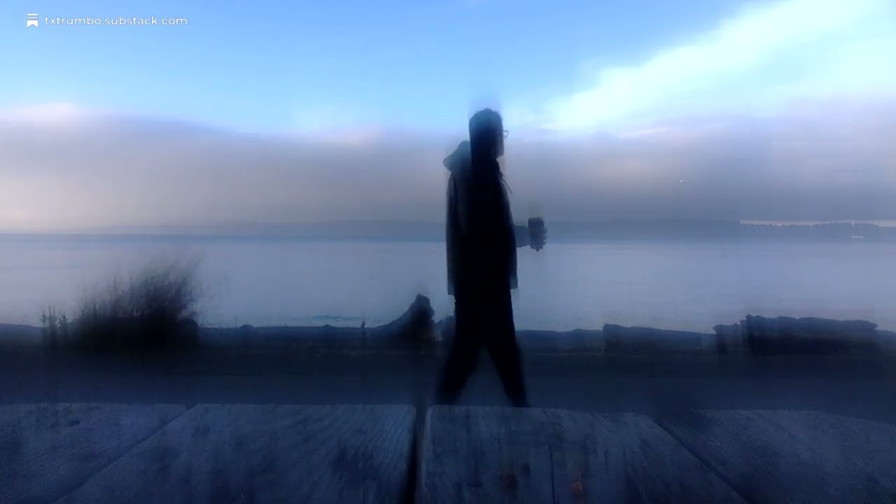 morning lincoln park impression
