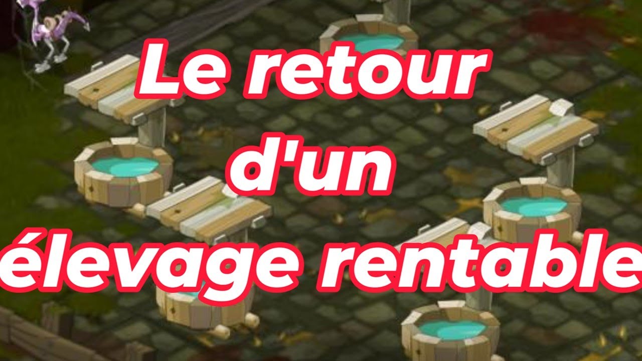 ENFIN UN ELEVAGE RENTABLE : OMBRE
