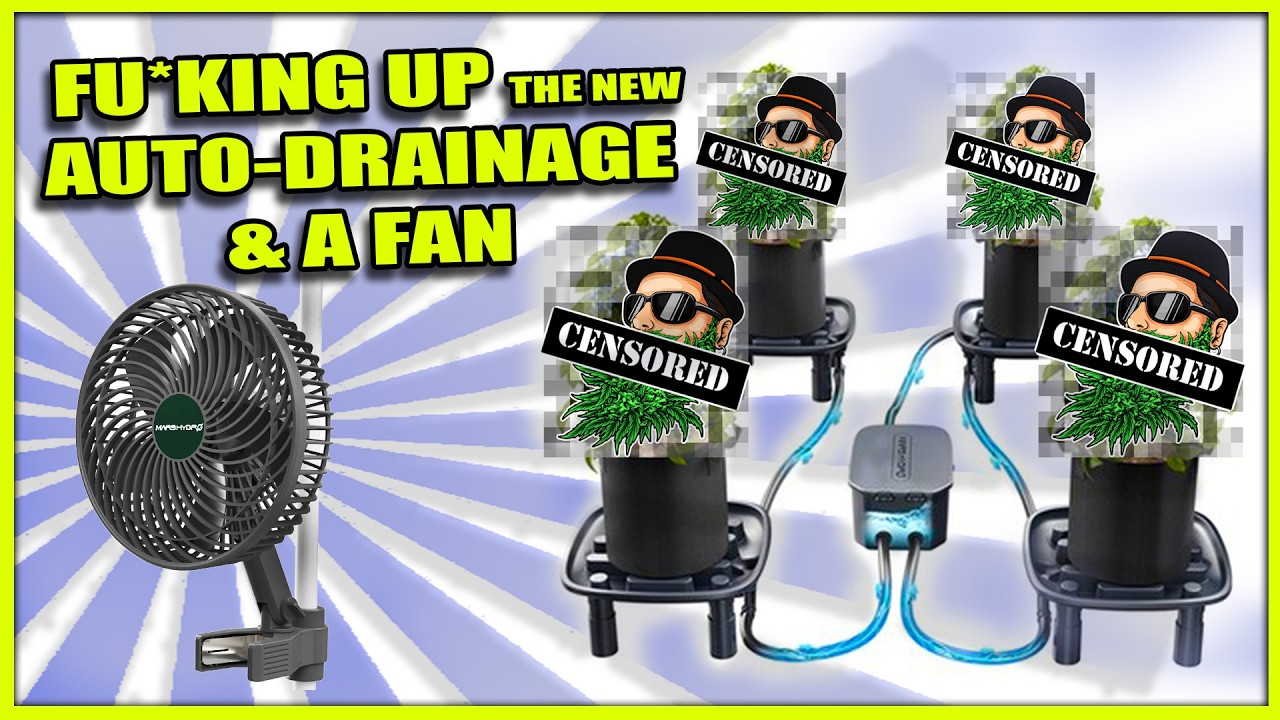 SETTING UP the new AUTO-DRAINAGE SYSTEM & a FAN - by MARSHYDRO