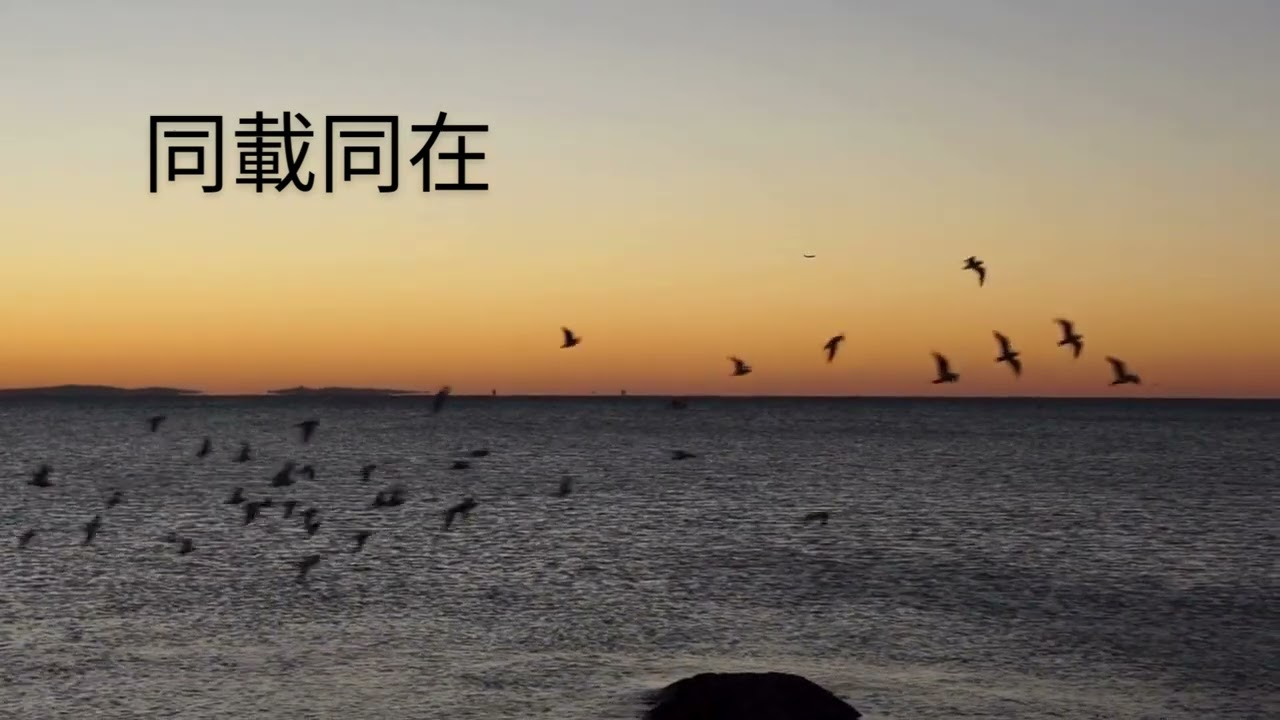 同載同在