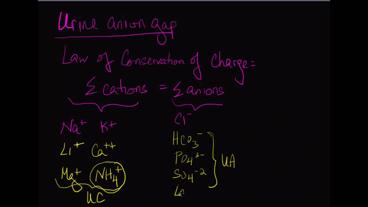 10-minute Rounds:  The Urine Anion Gap