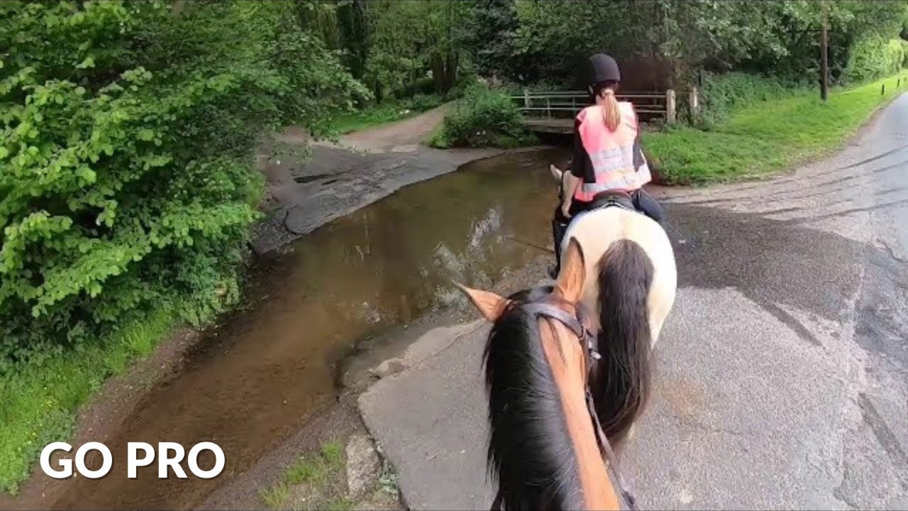 summer hack with us + flying ducks🦆 | GOPRO | equinemollie