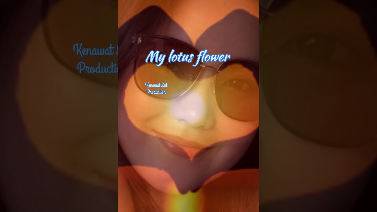 My Lotus Flower 