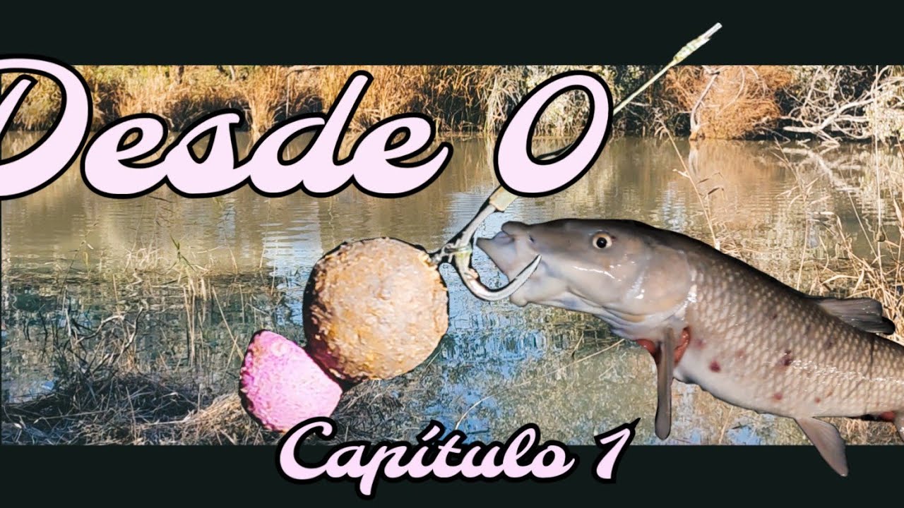 CARPFISHING RIO TAJO (DESDE ZERO CAP.1)