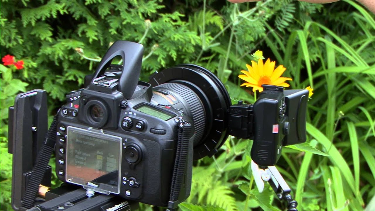 Lumière d'appoint en macrophotographie