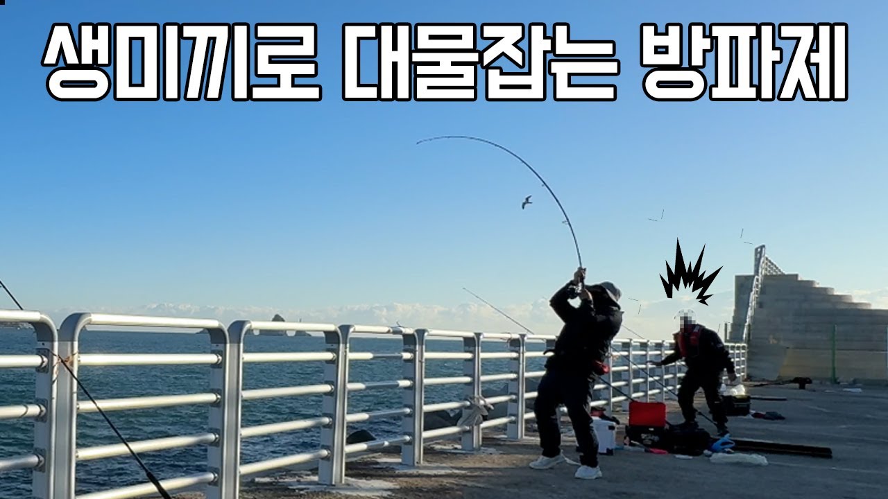 대물 입질이 들어오는 부산 최고의 방파제